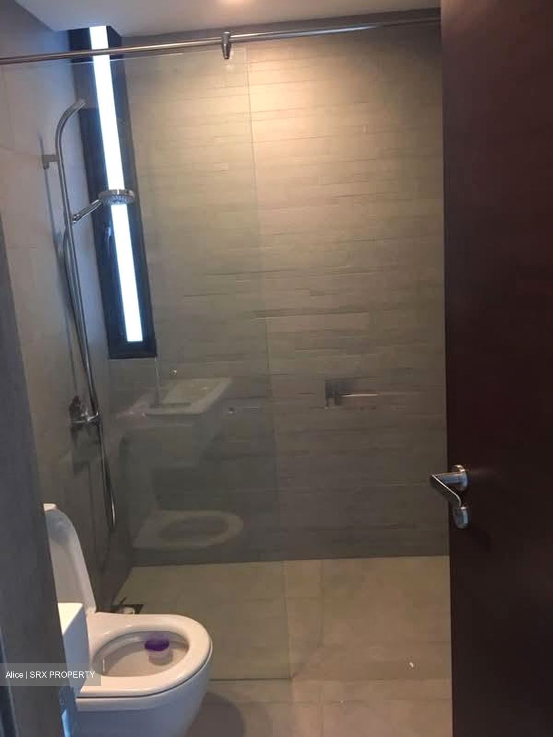 The Suites At Central (D9), Condominium #580005091